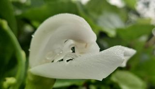 이정운님의 O학년 △반 이세요? · 참여글 작성글 사진