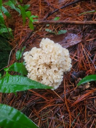 장기수님의 O학년 △반 이세요? · 참여글 작성글 사진