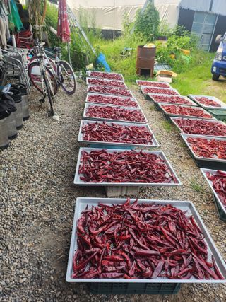 장기수님의 O학년 △반 이세요? · 참여글 작성글 사진