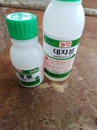 김영천님의 벼 · 영농일지 작성글 사진