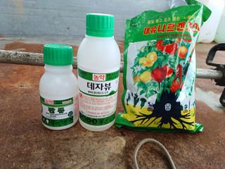 김영천님의 벼 · 영농일지 작성글 사진