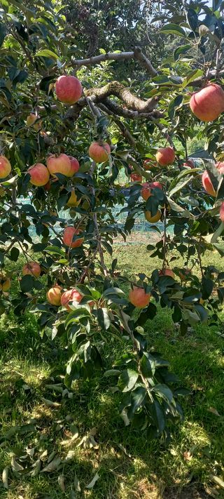 강성분님의 O학년 △반 이세요? · 참여글 작성글 사진