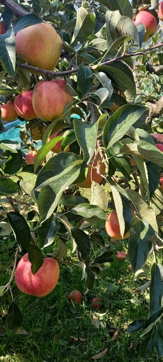 강성분님의 O학년 △반 이세요? · 참여글 작성글 사진