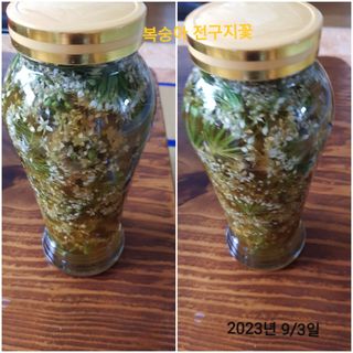 김수연님의 자유주제 · 자유게시판 작성글 사진