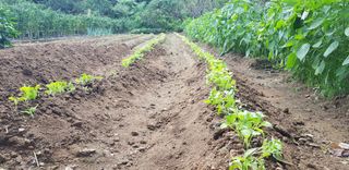 최문열님의 기타작물 · 자유게시판 작성글 사진