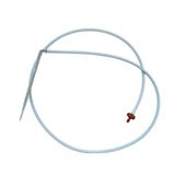 팜모닝 · 게시글 이미지