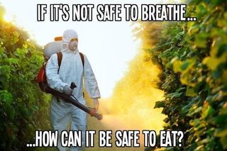 자연치유농법님의 자유주제 · 자유게시판 작성글 사진