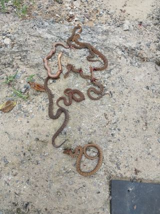 류남열님의 자유주제 · 자유게시판 작성글 사진