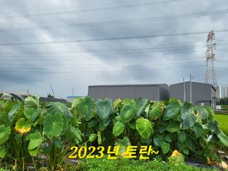 박순례님의 O학년 △반 이세요?·참여글 작성글 사진