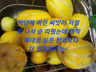 박순례님의 O학년 △반 이세요? · 참여글 작성글 사진