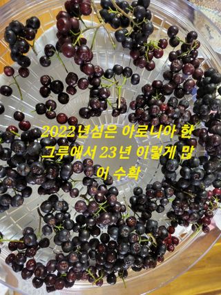 박순례님의 O학년 △반 이세요? · 참여글 작성글 사진