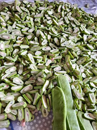 박손분님의 고구마 · 자유게시판 작성글 사진