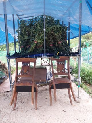 해안로님의 기타작물 · 자유게시판 작성글 사진