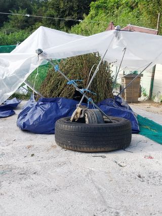 해안로님의 기타작물 · 자유게시판 작성글 사진