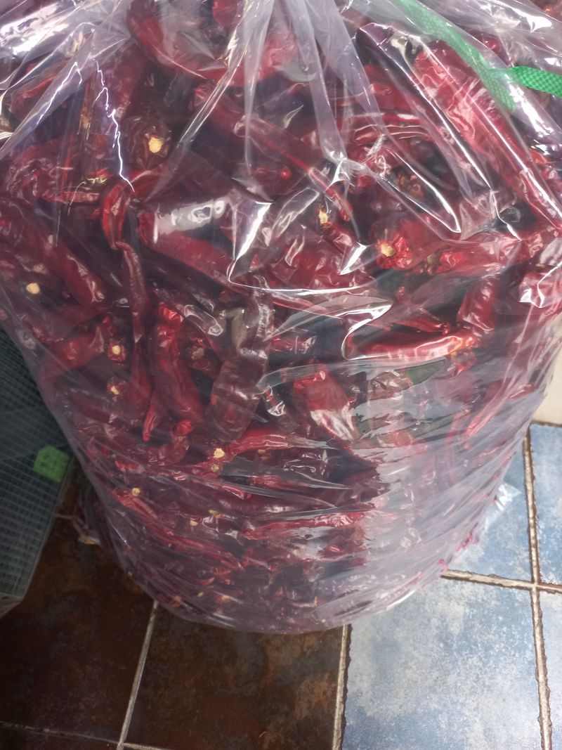 장터 상품 [건고추 1근 17000] 썸네일