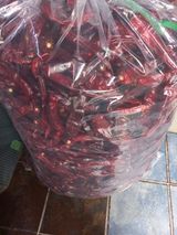 팜모닝 · 게시글 이미지