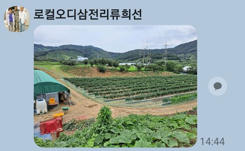 논산 농부 부인님의 장터 판매 상품 [건고추 1근 17000] 첨부 사진