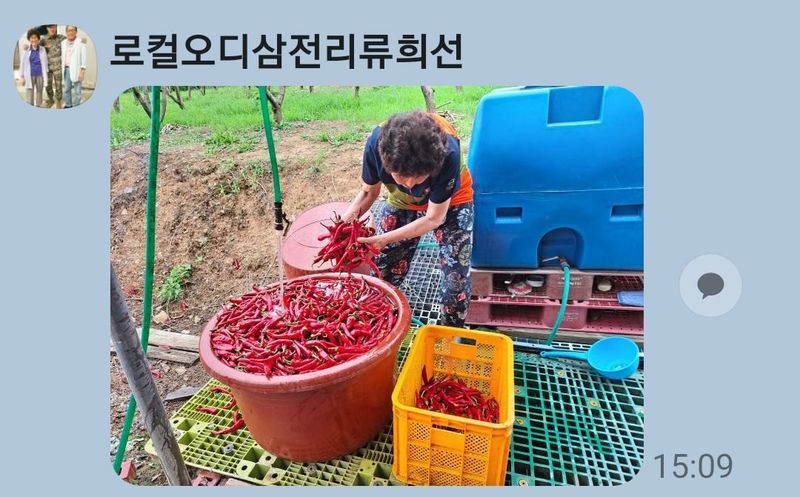 논산 농부 부인님의 장터 판매 상품 [건고추 1근 17000] 첨부 사진