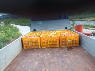 알 수 없음님의 자유주제 · 자유게시판 작성글 사진