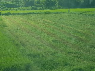 이행옥님의 기타작물 · 영농일지 작성글 사진