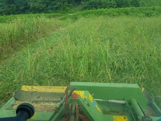 이행옥님의 기타작물 · 영농일지 작성글 사진