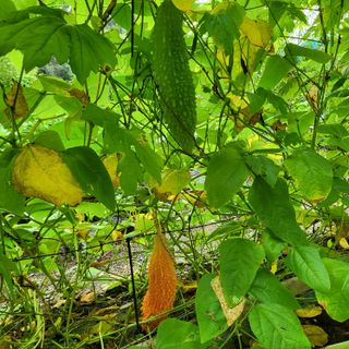 오케바리(옥경종)님의 O학년 △반 이세요? · 참여글 작성글 사진