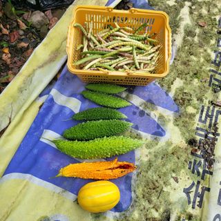 오케바리(옥경종)님의 O학년 △반 이세요? · 참여글 작성글 사진