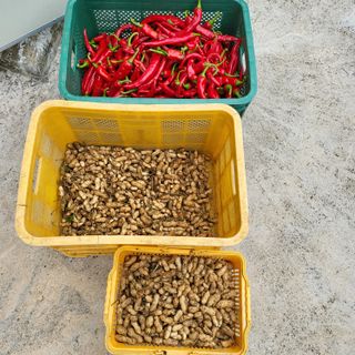 오케바리(옥경종)님의 O학년 △반 이세요? · 참여글 작성글 사진