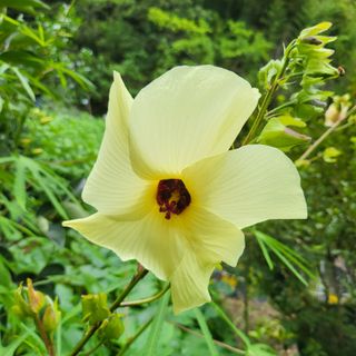 오케바리(옥경종)님의 O학년 △반 이세요? · 참여글 작성글 사진