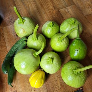 오케바리(옥경종)님의 O학년 △반 이세요? · 참여글 작성글 사진