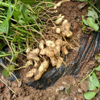 오케바리(옥경종)님의 O학년 △반 이세요? · 참여글 작성글 사진