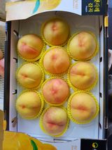 팜모닝 O학년 △반 이세요?·참여글 게시글 이미지