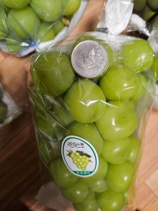 최지훈님의 포도 · 자유게시판 작성글 사진