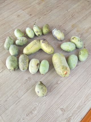 심무재 님의 O학년 △반 이세요? · 참여글 작성글 사진