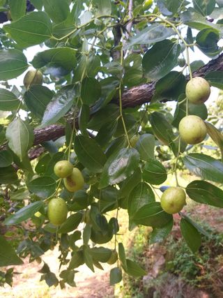 심무재 님의 O학년 △반 이세요? · 참여글 작성글 사진