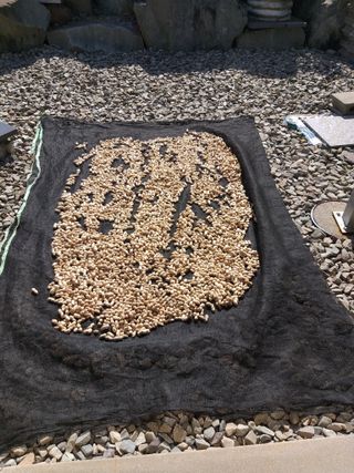 심무재 님의 O학년 △반 이세요? · 참여글 작성글 사진