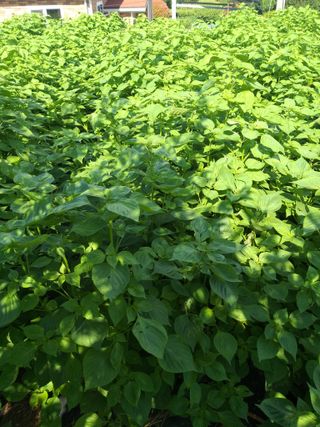 심무재 님의 O학년 △반 이세요? · 참여글 작성글 사진