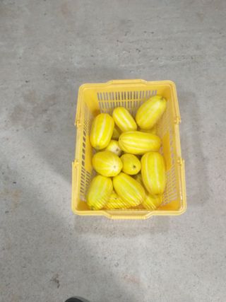 심무재 님의 O학년 △반 이세요? · 참여글 작성글 사진