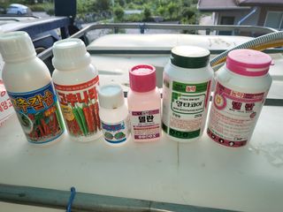 이상욱님의 고추 · 영농일지 작성글 사진