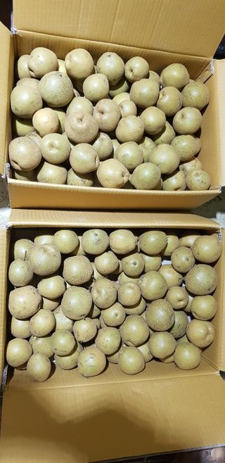 독고다이님의 작성글 사진