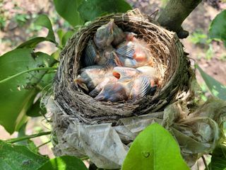 독고다이님의 작성글 사진