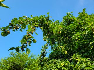 독고다이님의 작성글 사진