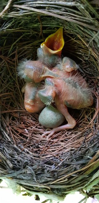 독고다이님의 작성글 사진