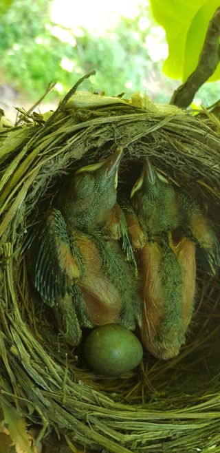 독고다이님의 작성글 사진