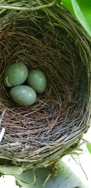 독고다이님의 작성글 사진