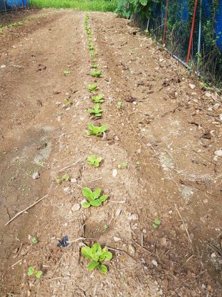 정석구님의 자유주제 · 자유게시판 작성글 사진