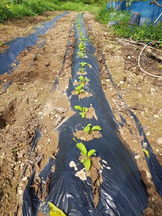 정석구님의 자유주제 · 자유게시판 작성글 사진