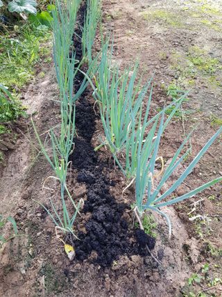 정석구님의 자유주제 · 자유게시판 작성글 사진