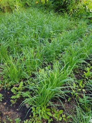 정석구님의 자유주제 · 자유게시판 작성글 사진