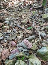 팜모닝 자유주제·자유게시판 게시글 이미지